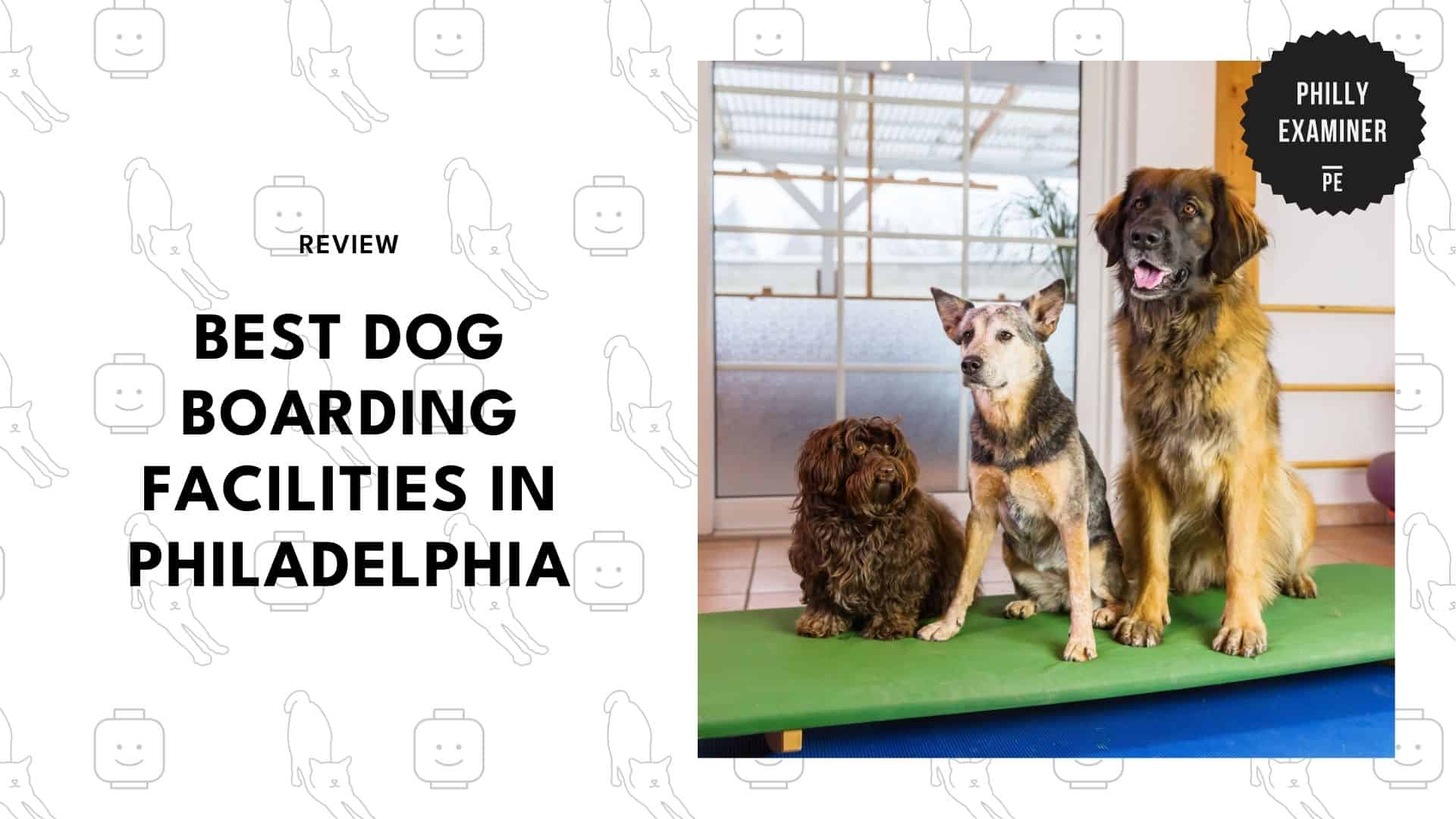 dog-boarding-philadelphia