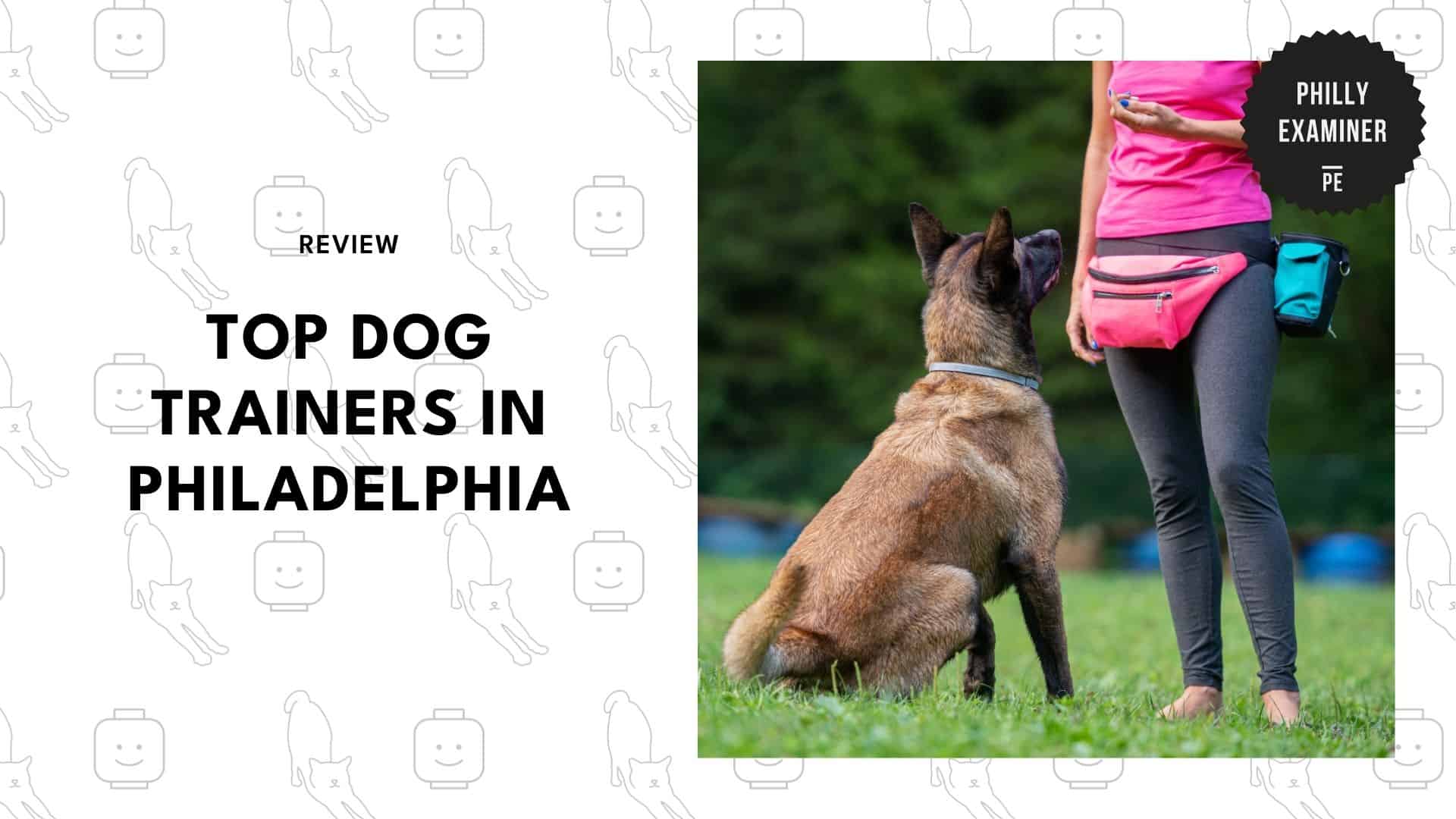 dog-trainers-philadelphia