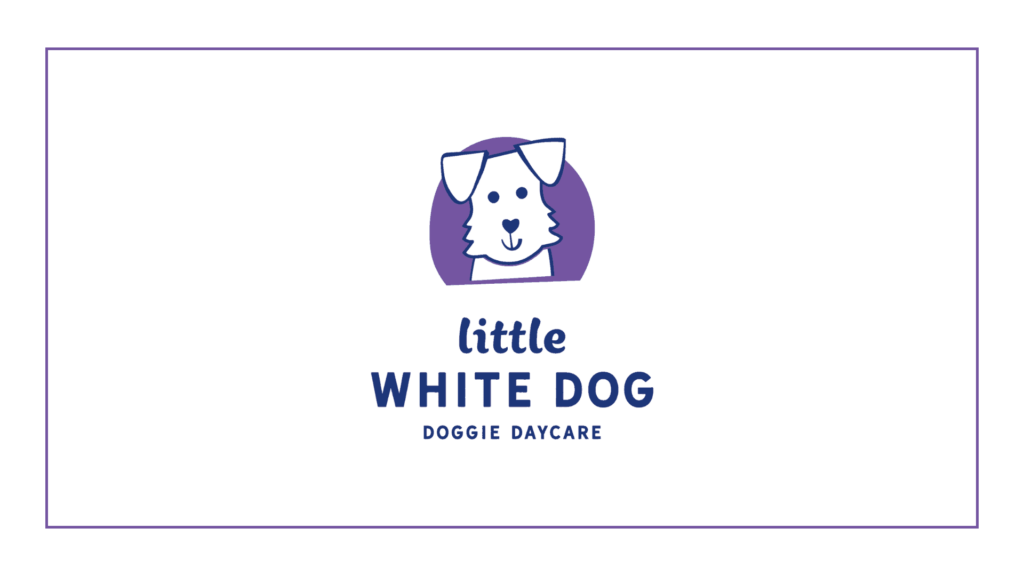 little-white-dog-doggie-daycare