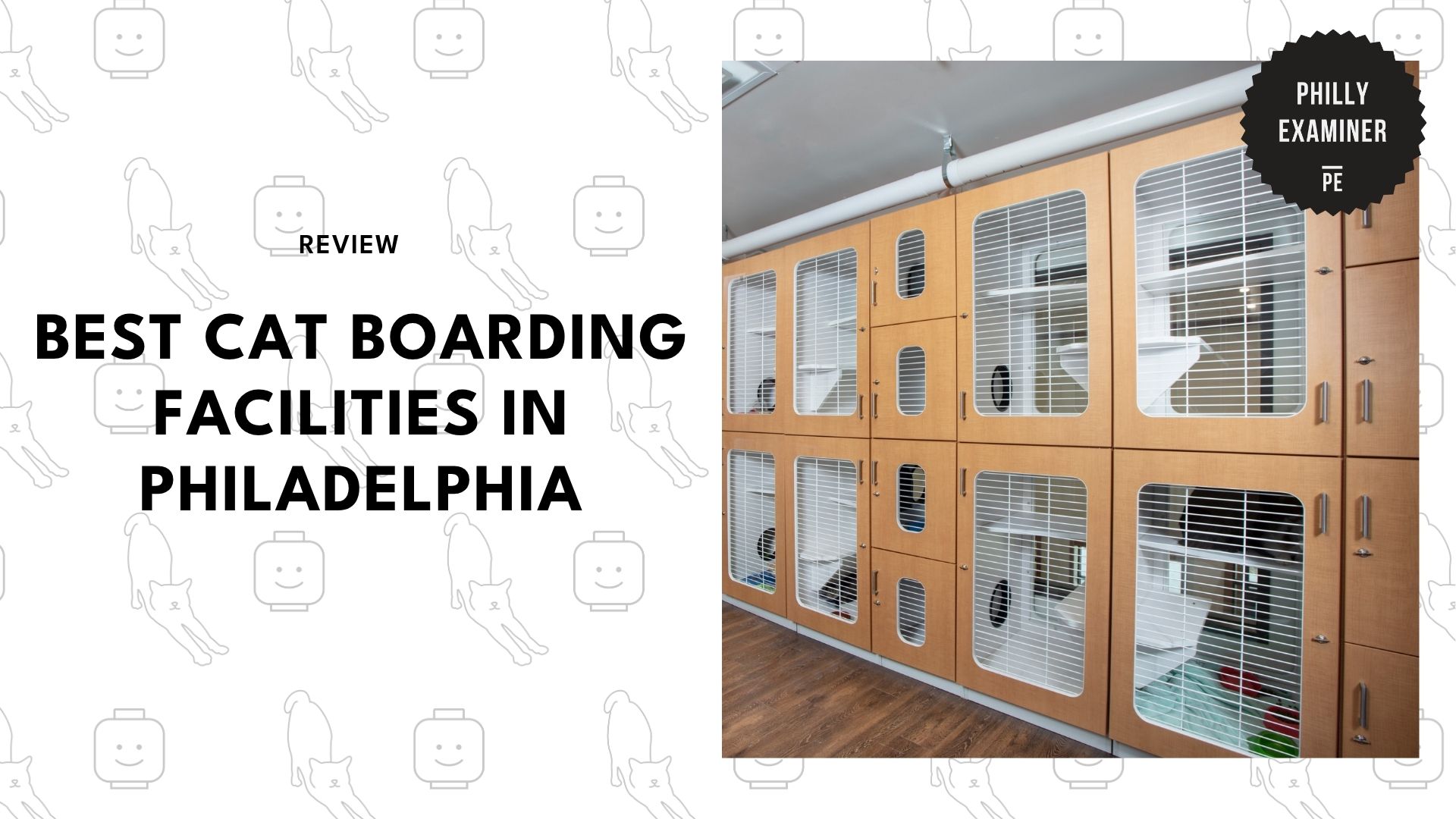 best-cat-boarding-philadelphia-banner