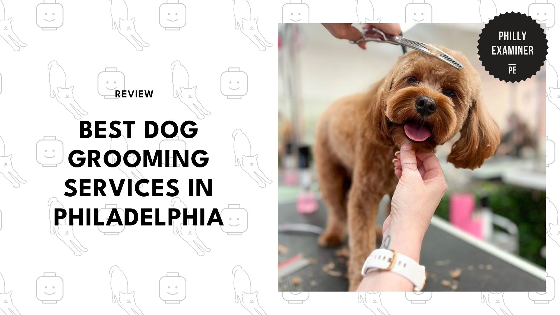 best-dog-grooming-philadelphia-banner