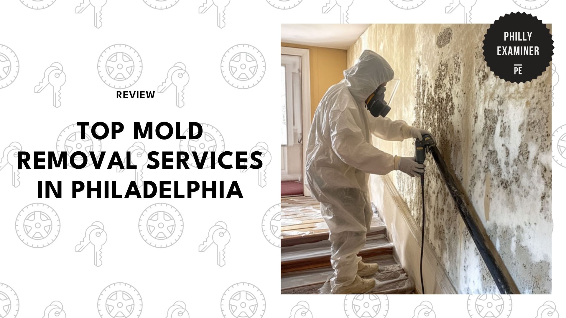 mold-removal-philadelphia-banner