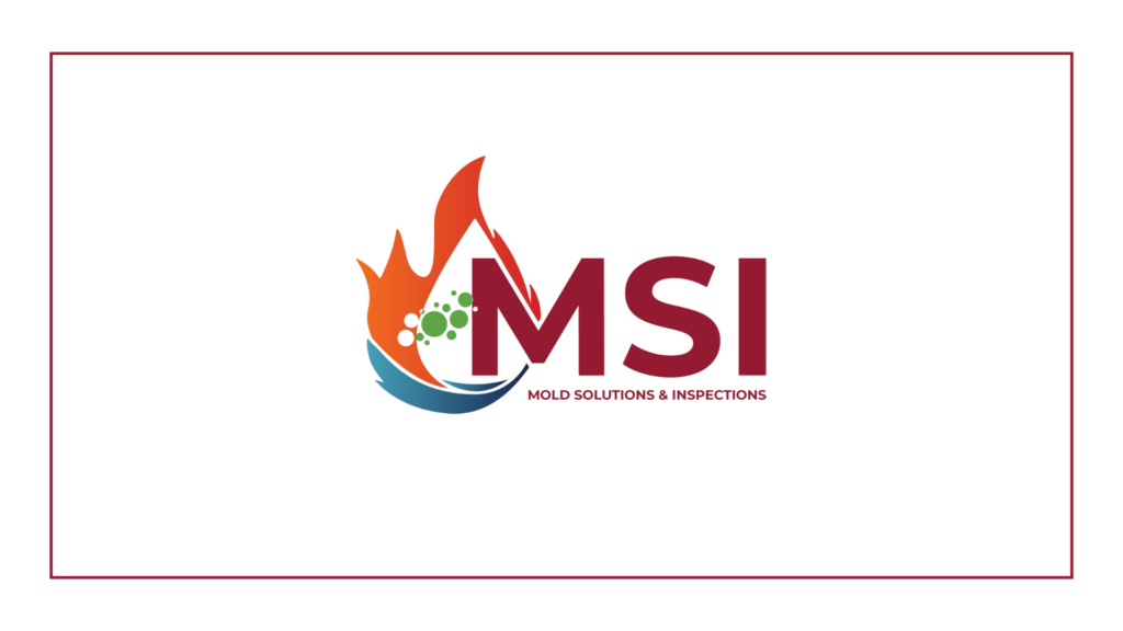 mold-solutions-inspections-logo