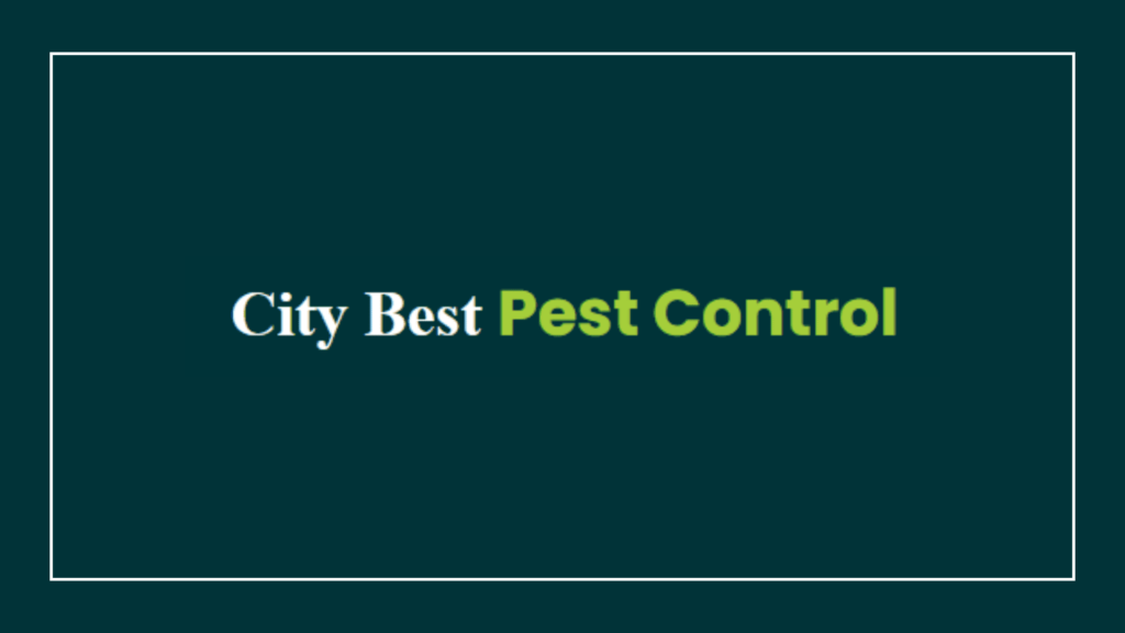 city-best-pest-control