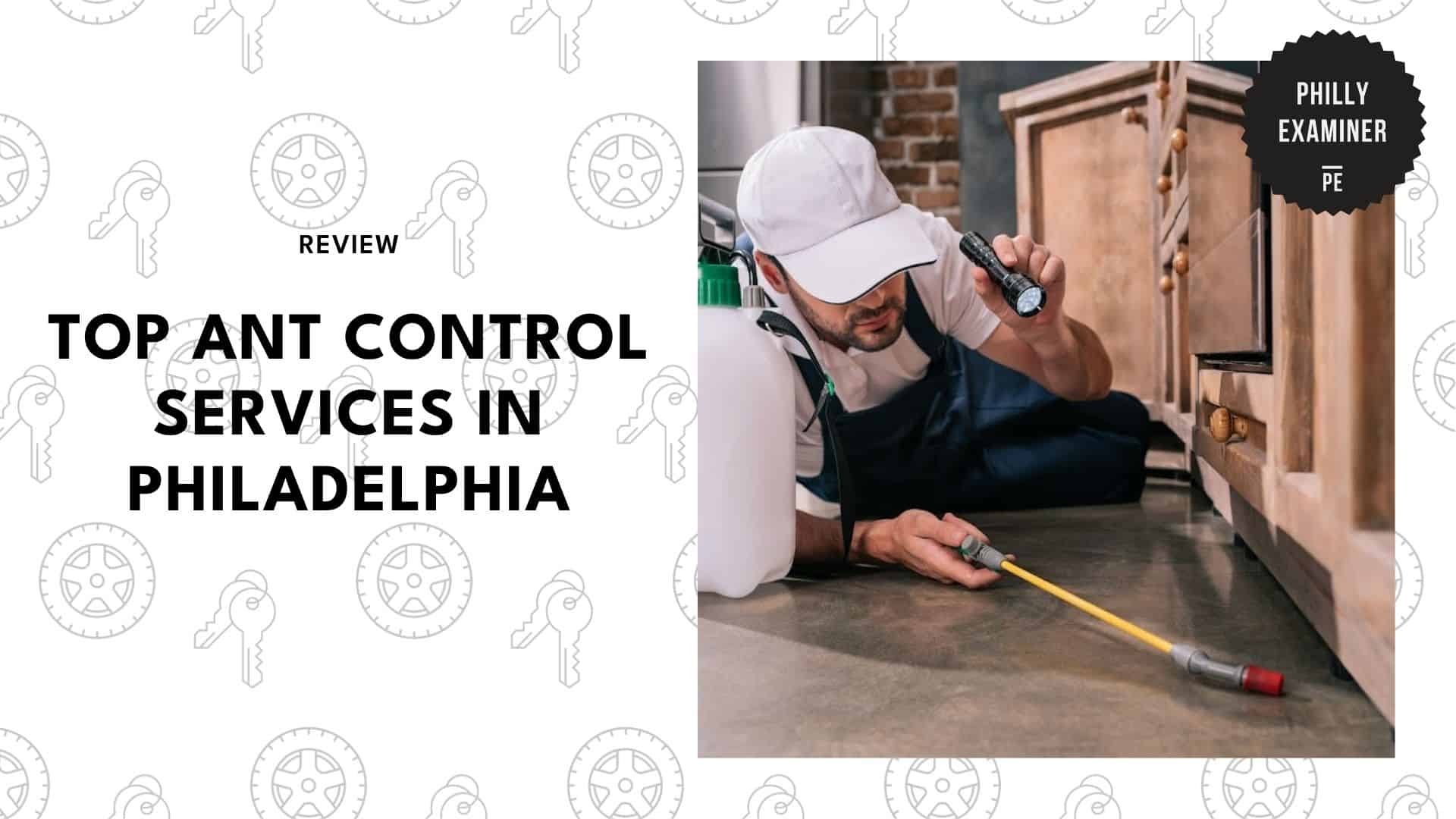 ant-control-services-in-philadelphia