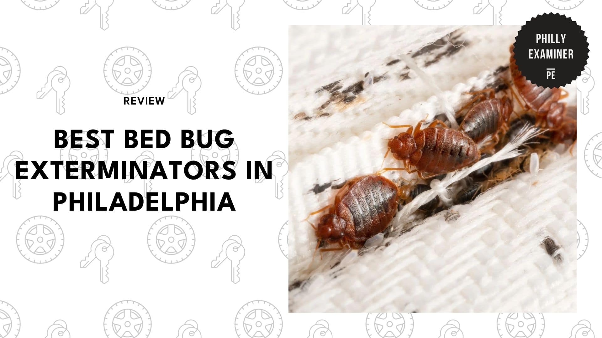 best-bed-bug-exterminator-philadelphia