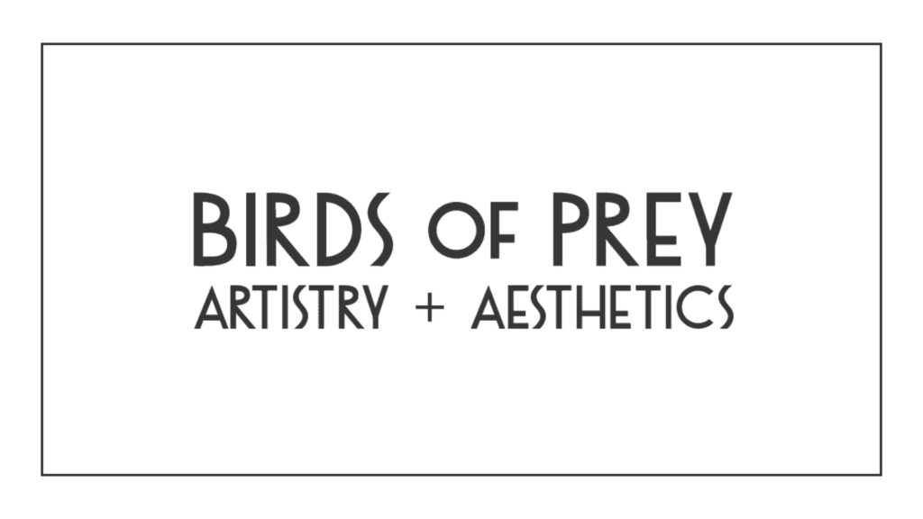 birds-of-prey-artistry-aesthetics