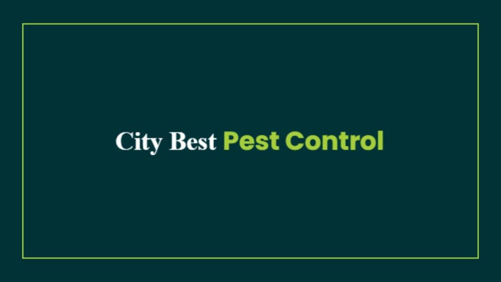 city-best-pest-control