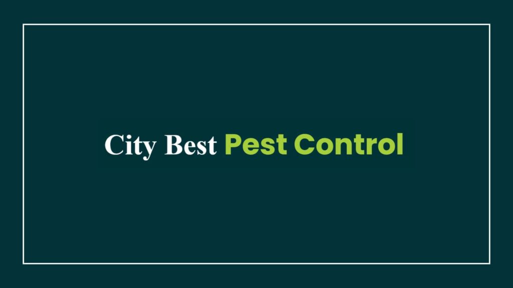 city-best-pest-control