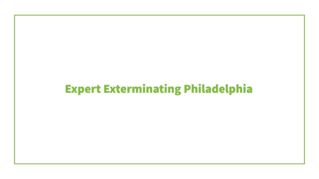 expert-exterminating-philadelphia