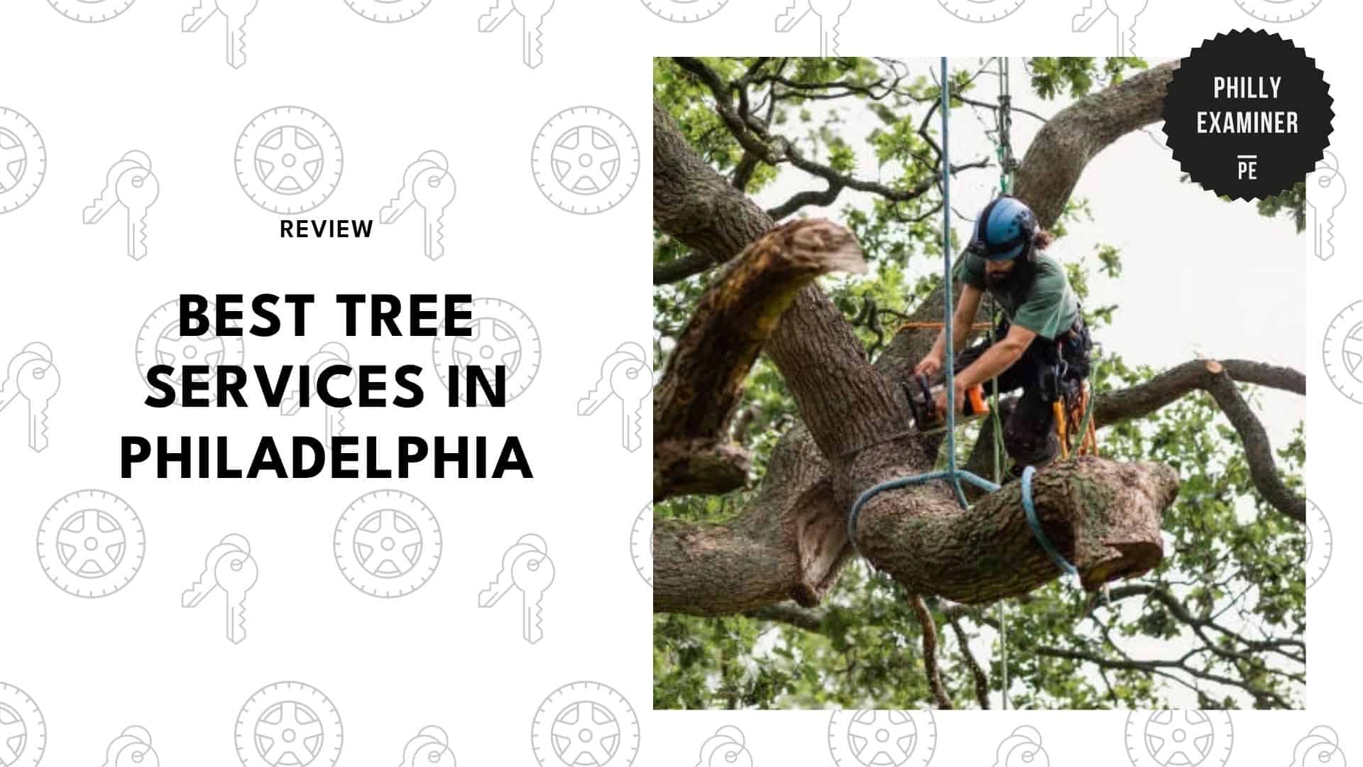 tree-services-in-philadelphia