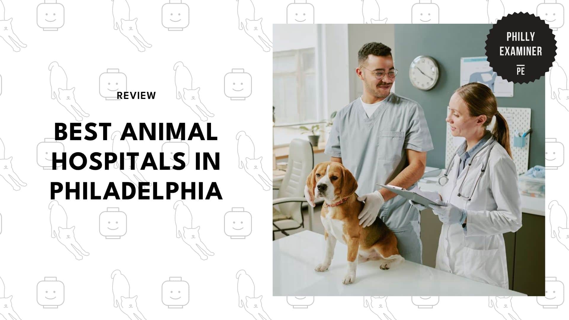 best-animal-hospitals-philadelphia