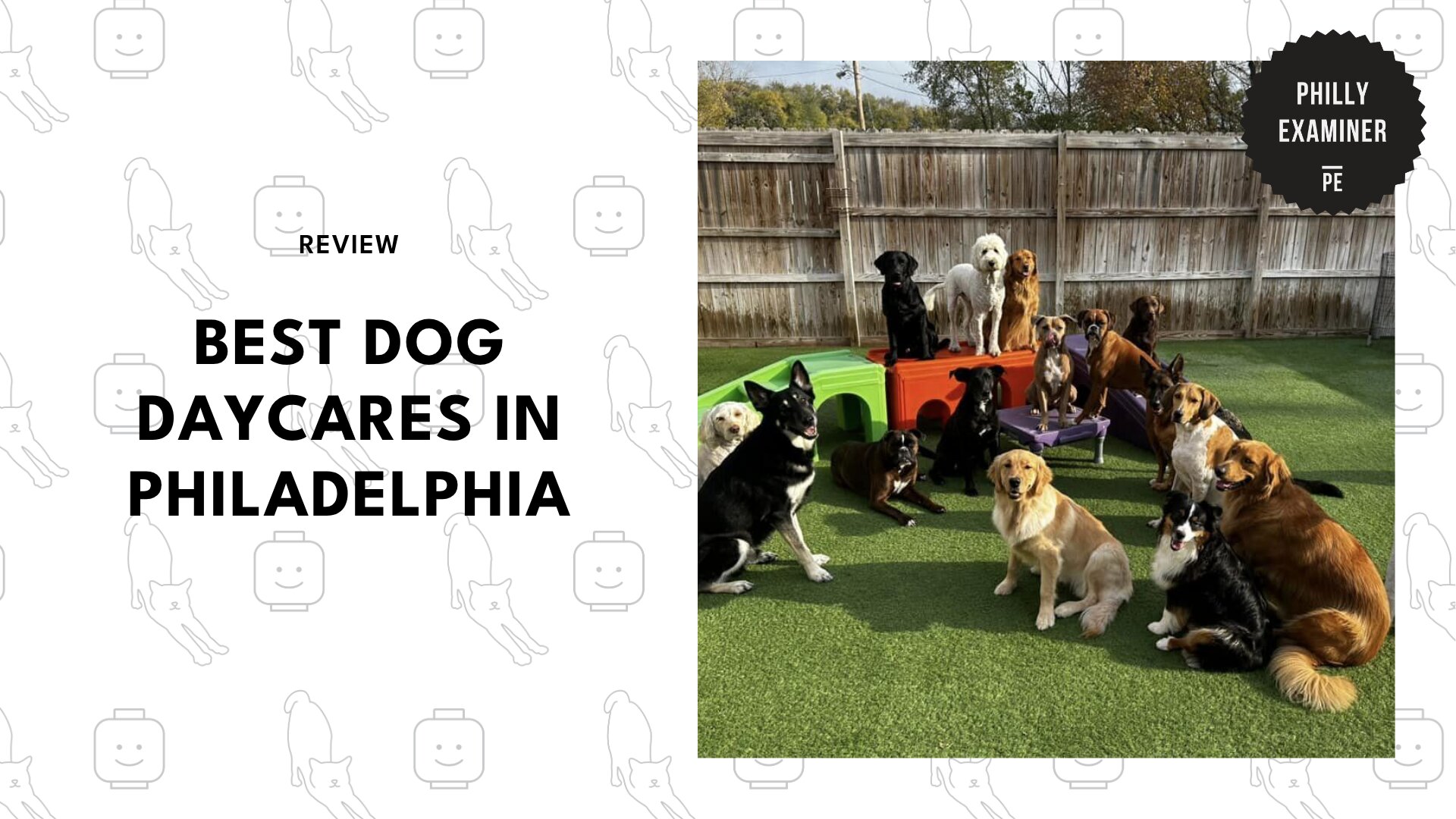 best-dog-daycares-philadelphia-banner