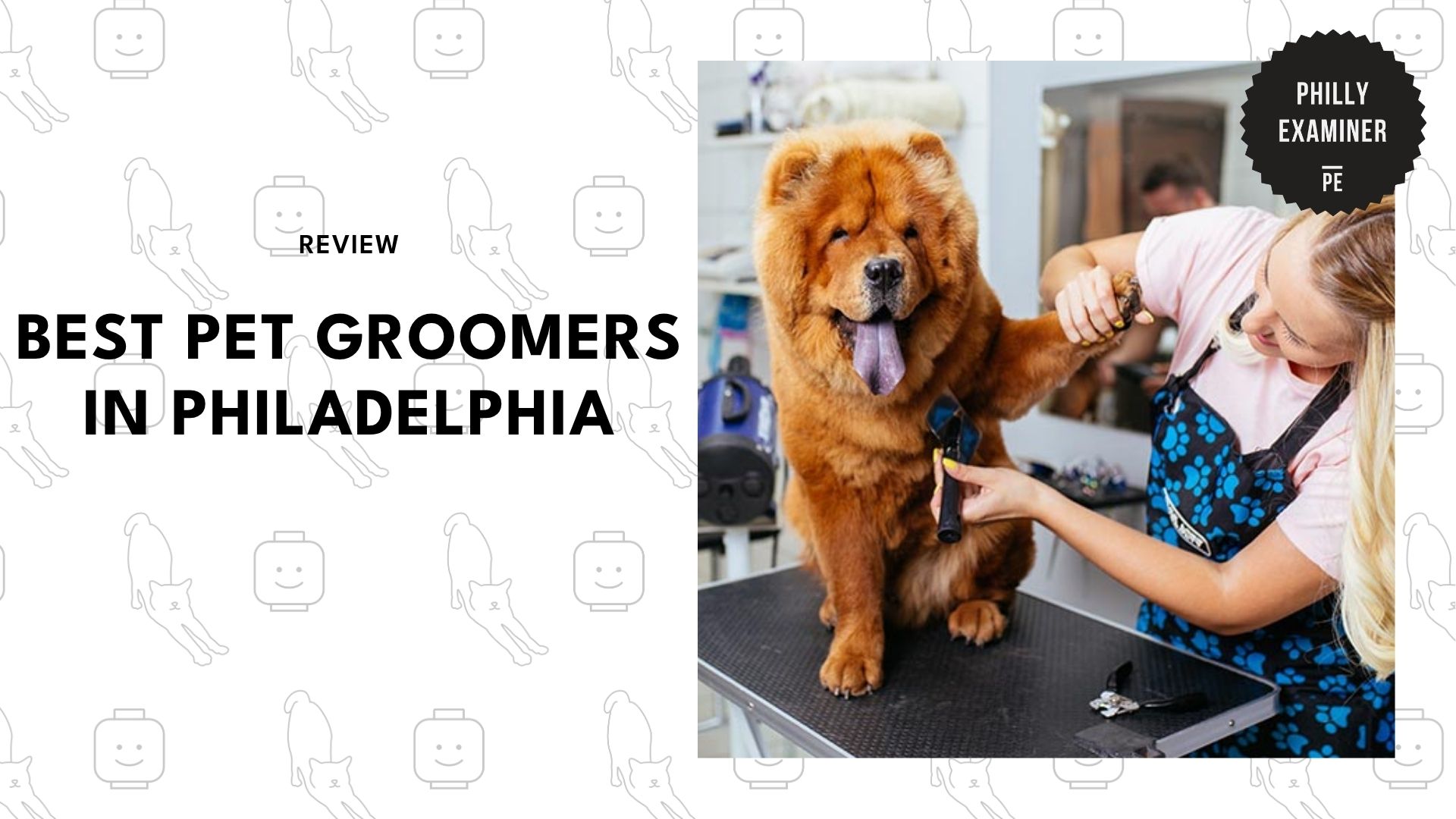 best-pet-grooming-philadelphia-banner