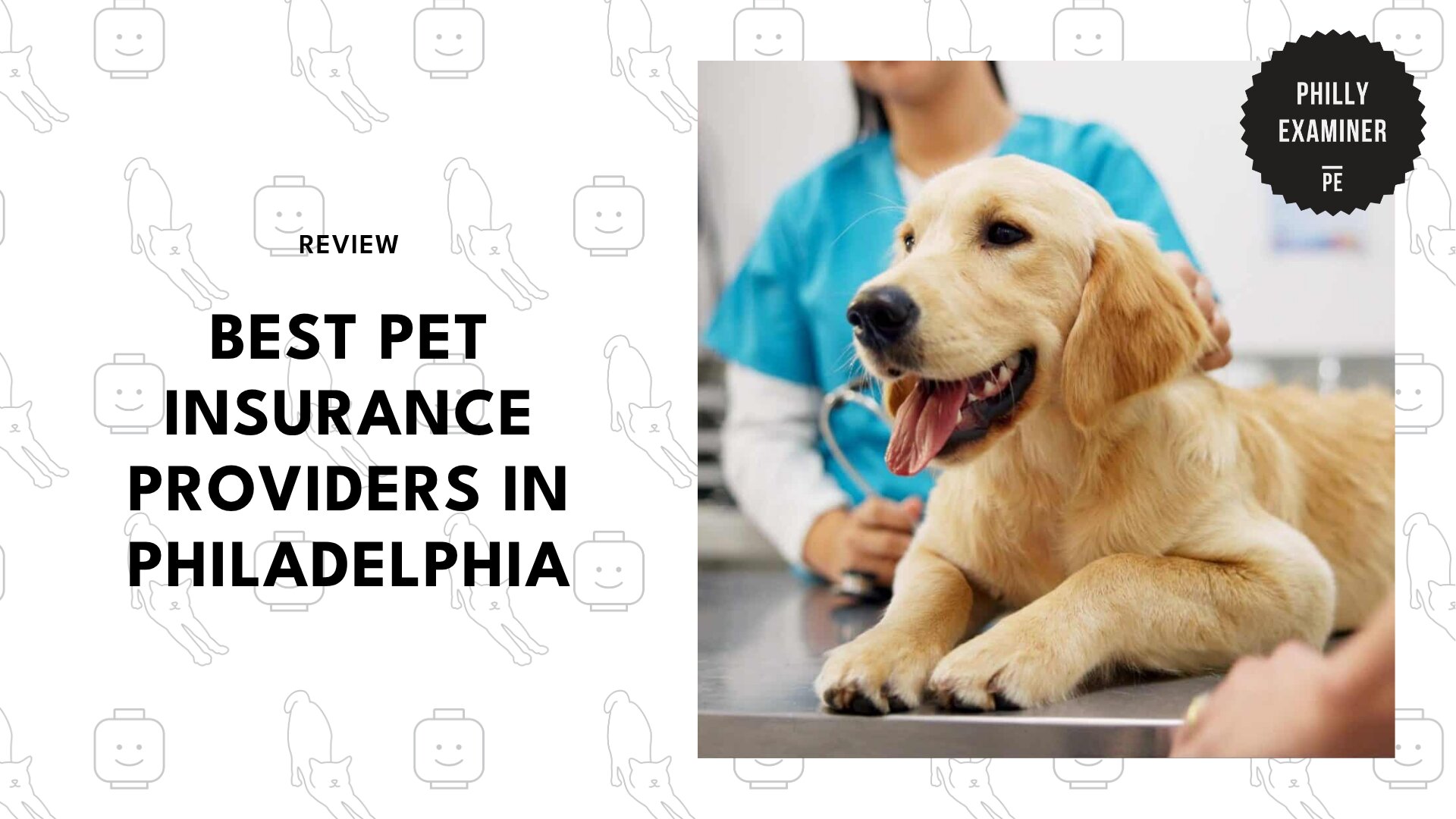 best-pet-insurance-philadelphia-banner