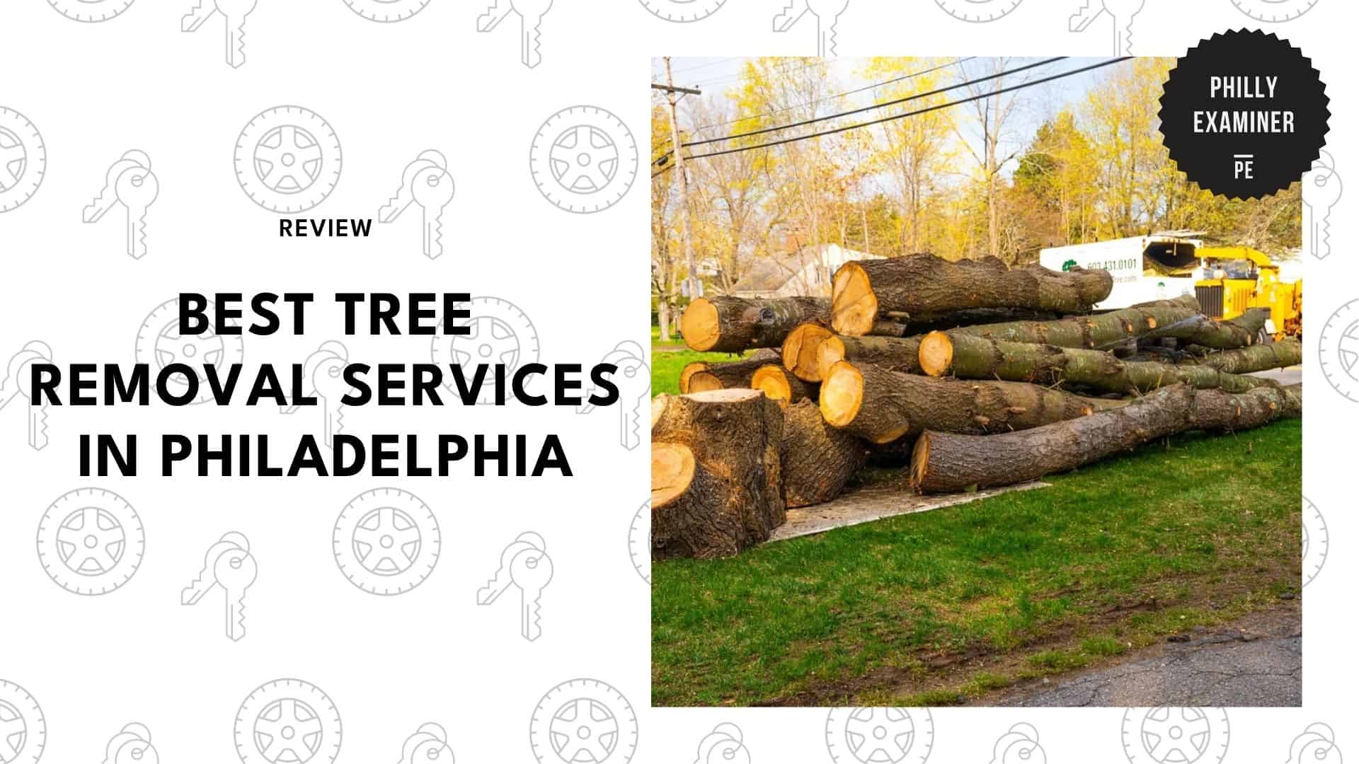 best-tree-removal-philadelphia