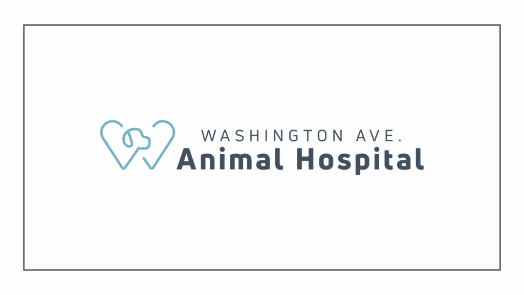 washington-ave-animal-hospital