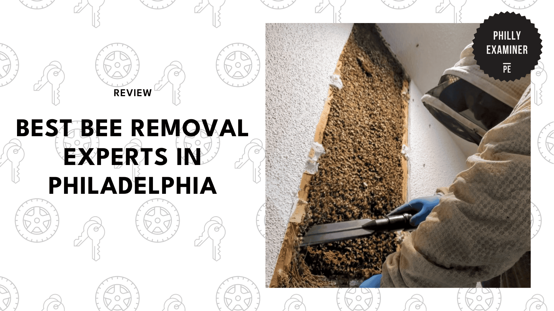 best-bee-removal-philadelphia