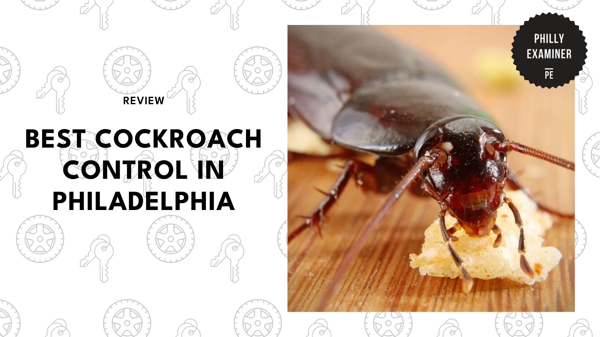 best-cockroach-control-philadelphia-banner