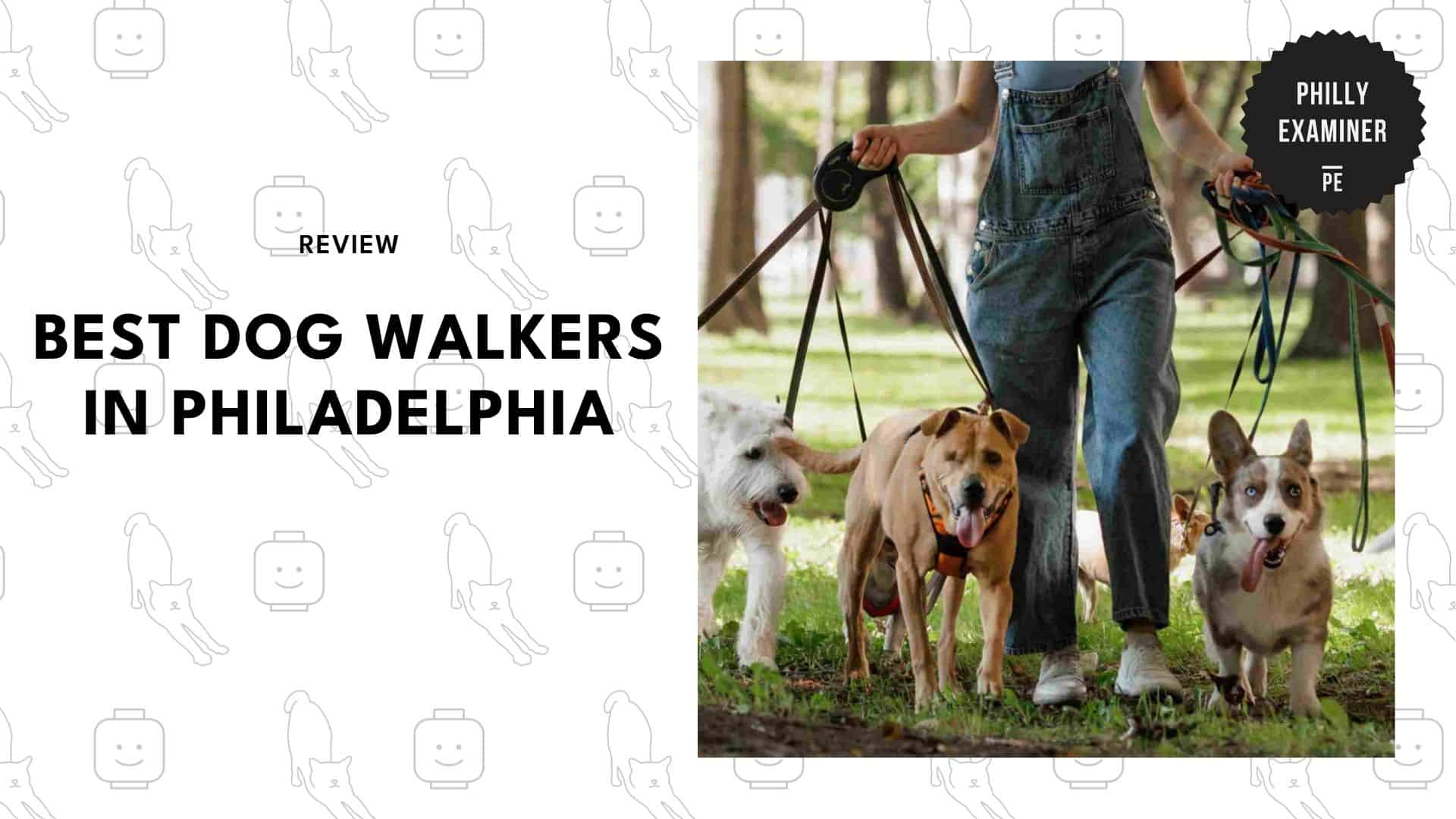best-dog-walkers-philadelphia