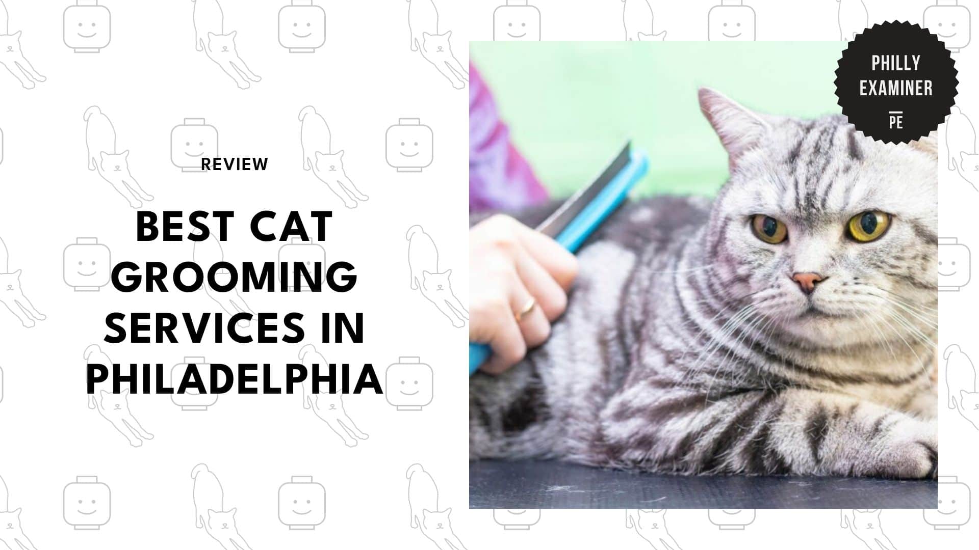 cat-grooming-services-in-philadelphia