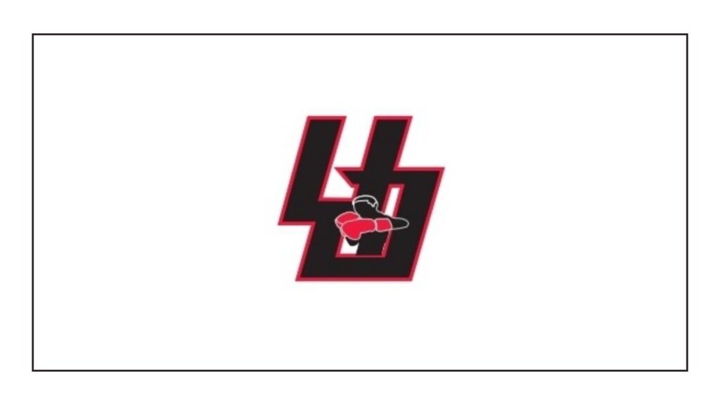 undisputed-mma-llc-logo